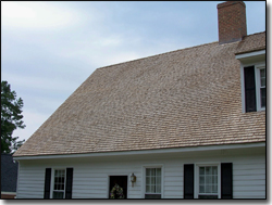 Roof Cleaning